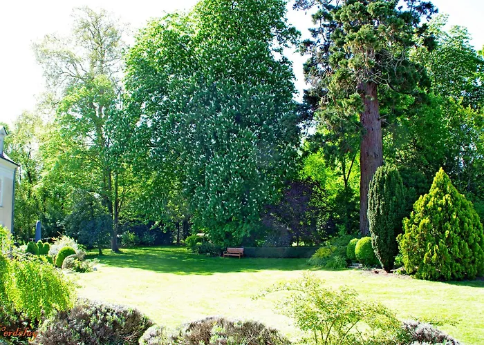 Panzió D'hotes Spacieuses Pres De La Loire - Fr-1-622-116 *