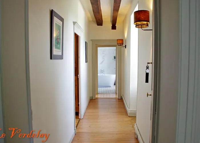 Panzió D'hotes Spacieuses Pres De La Loire - Fr-1-622-116 *