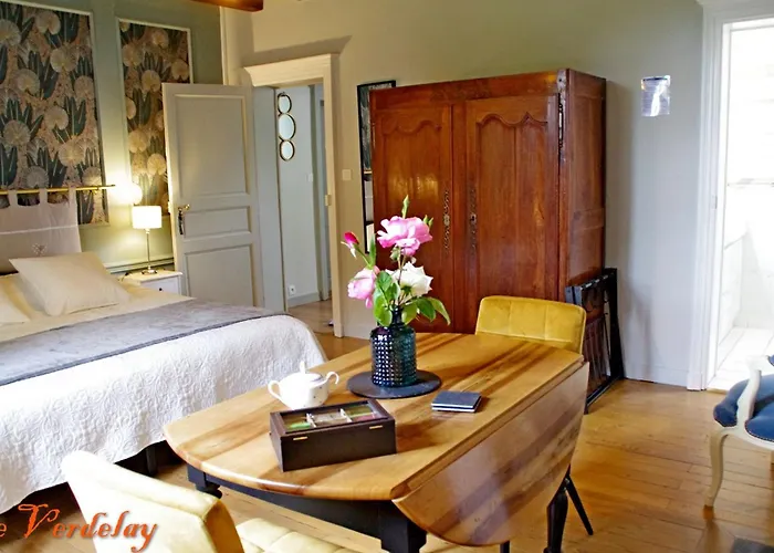 D'hotes Spacieuses Pres De La Loire - Fr-1-622-116